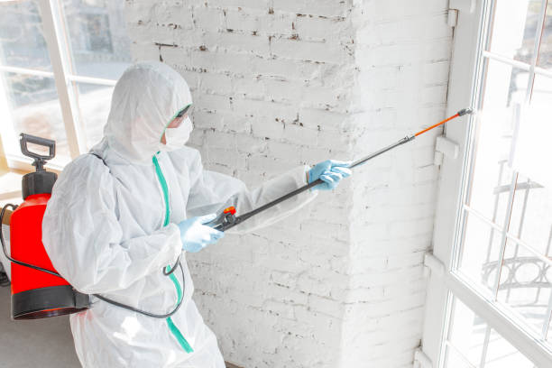 Best Mold Remediation for Healthcare Facilities  in Christiana, TN