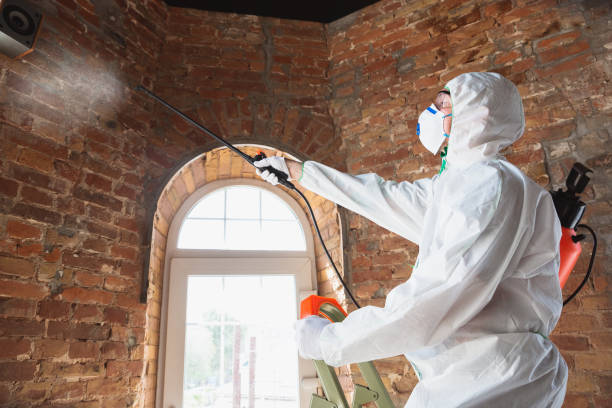 Why You Should Choose Our Mold Remediation Services in Christiana, TN